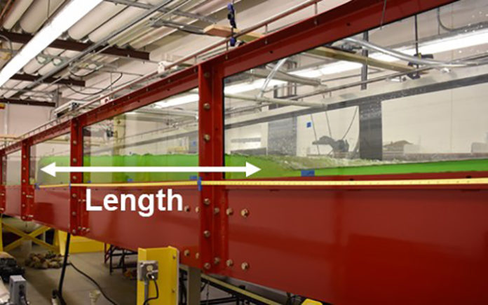 Flume Testing