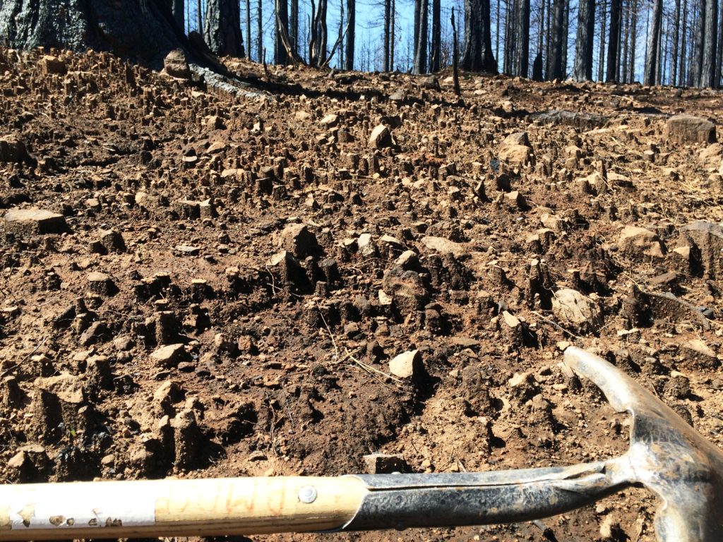 Erosion pedestals