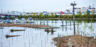 Transforming Urban Industrial Land to Vibrant Public Access and Habitat