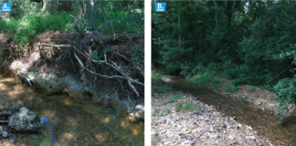 Streams in Transition