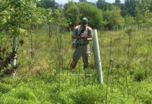 Evaluating Restoration Success