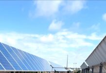 Leveraging Solar Farms for Growth of Biocrusts