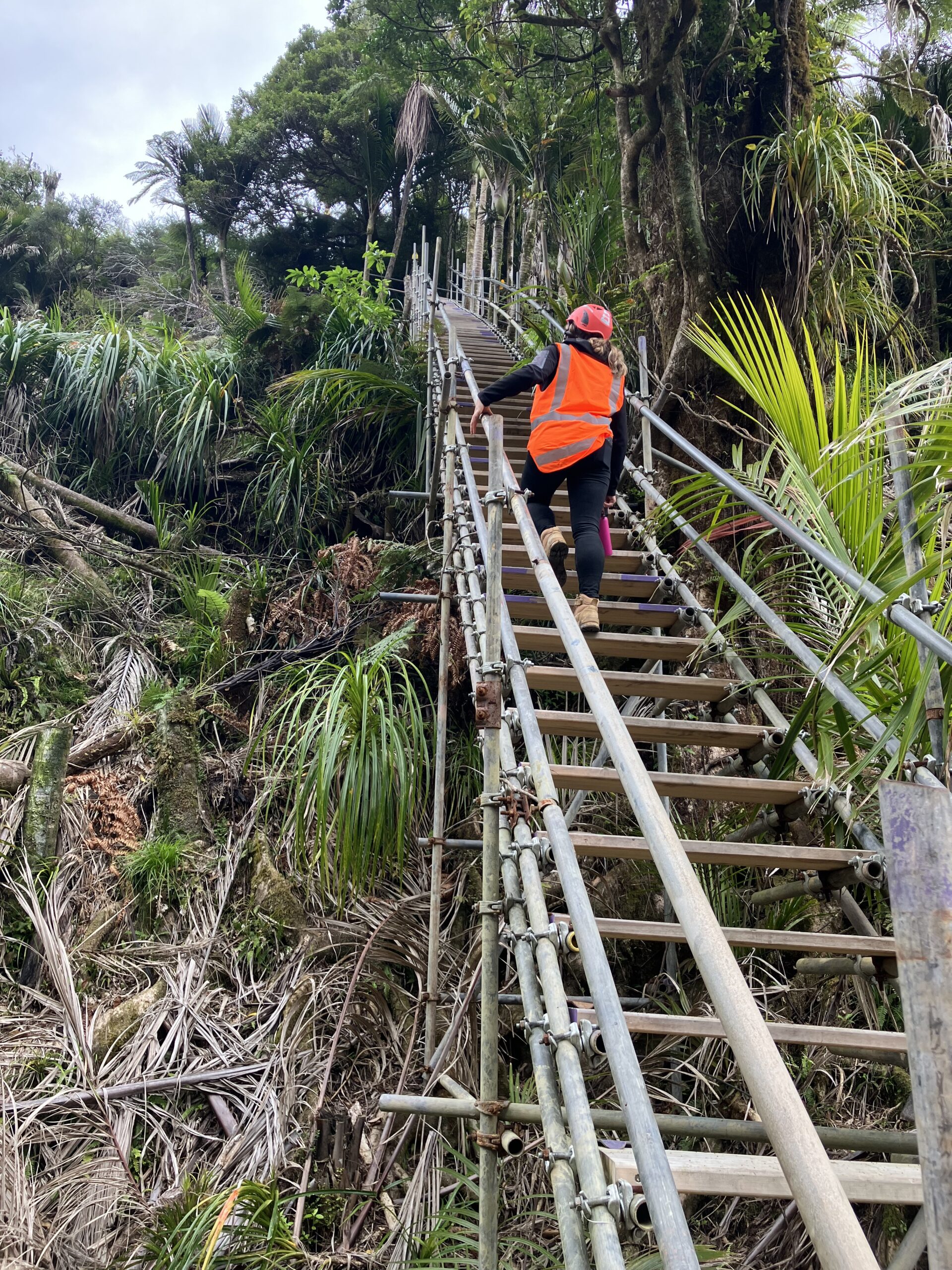 Figure 4. The scaffold staircase features 700 stairs and is used daily for worker access to the site.
