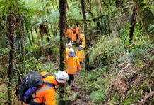 Mount Messenger –Te Ara o Te Ata: A Legacy Project Site-visit-to-the-Mimi-wetland-during-the-2024-IECA-Fieldtrip