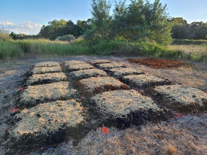 Overview of field plots after seeding and adding straw.