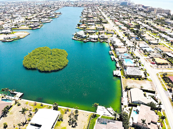Fig. 1: The artificial atolls will support mangroves and oyster beds to filter water naturally. Photo Credit: Earthwerks Land Improvement & Development Corp