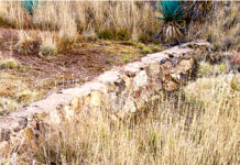 Retaining Sediment at Different Scales Fig. 1: One study examined check dams built in the 1930s to determine their effectiveness in reducing erosion. Photo Credit: USDA Agricultural Research Service