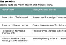 Planted Protection Table 1: Buffer Benefits A buffer’s presence helps the water, the soil, and the local fauna.