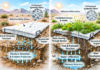 A Blanket to Help the Desert Bloom